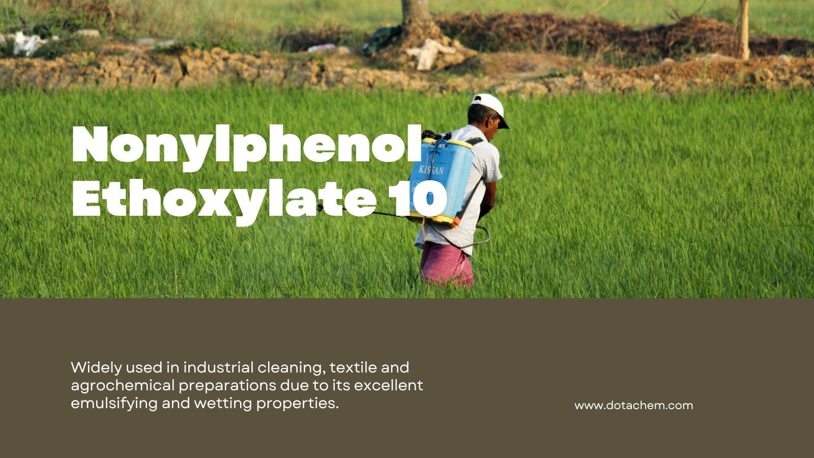 Dotachem beynəlxalq təchizatı | NPE10 Professional Bələdçisi: Xüsusiyyətlər, Tətbiqlər və Qlobal Solutions
